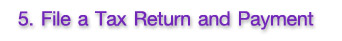 5.File a Tax Return and Payment 5.File a Tax Return and Payment