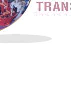 Ԩâҵ & TRANSFER PRICING