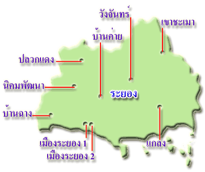 鹷ͧ